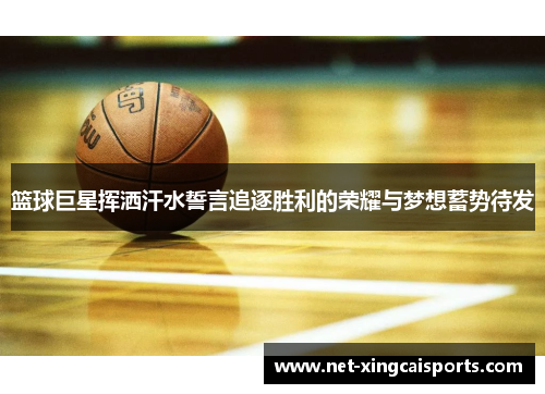篮球巨星挥洒汗水誓言追逐胜利的荣耀与梦想蓄势待发 篮球巨星挥洒汗水誓言追逐胜利的荣耀与梦想蓄势待发
