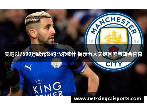 曼城以7500万欧元签约马尔穆什 揭示五大关键因素与转会内幕 曼城以7500万欧元签约马尔穆什 揭示五大关键因素与转会内幕