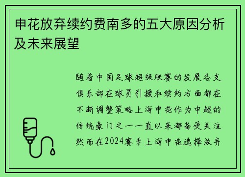 申花放弃续约费南多的五大原因分析及未来展望