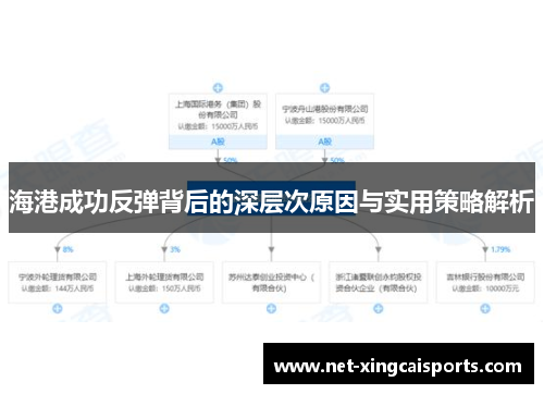 海港成功反弹背后的深层次原因与实用策略解析 海港成功反弹背后的深层次原因与实用策略解析