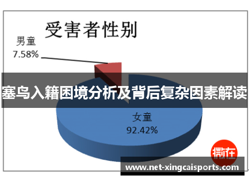 塞鸟入籍困境分析及背后复杂因素解读 塞鸟入籍困境分析及背后复杂因素解读