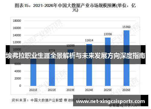 埃弗拉职业生涯全景解析与未来发展方向深度指南